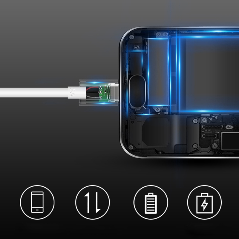 type-c+type-c (14).jpg