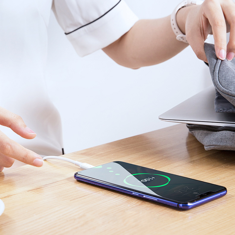 type-c+type-c (12).jpg